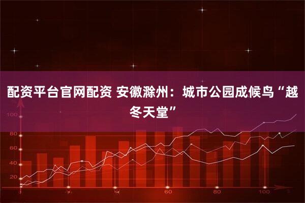 配资平台官网配资 安徽滁州：城市公园成候鸟“越冬天堂”