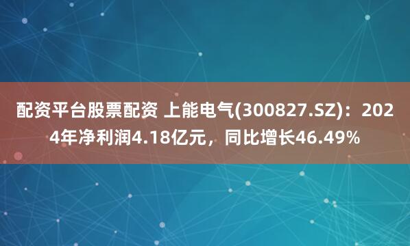 配资平台股票配资 上能电气(300827.SZ)：2024年净利润4.18亿元，同比增长46.49%