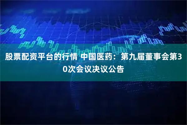 股票配资平台的行情 中国医药：第九届董事会第30次会议决议公告