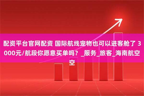 配资平台官网配资 国际航线宠物也可以进客舱了 3000元/航段你愿意买单吗？_服务_旅客_海南航空